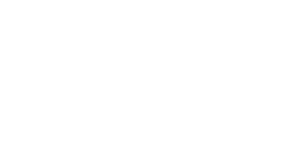 ALP Logo_White