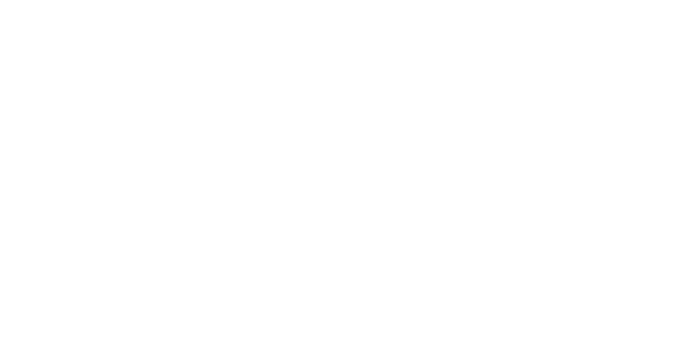 ALP — Ally Logistic Property